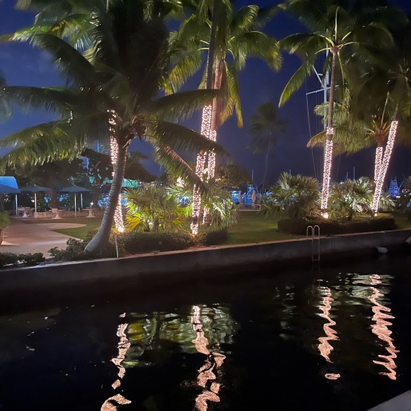 Meet your Posher, Rita - Picture 2 of 2